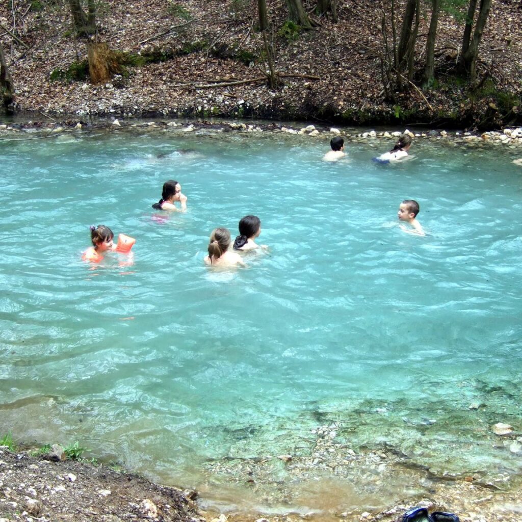 Das Wunder im Frühling: Wo das Maibachl sein Geheimnis offenbart