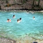 Das Wunder im Frühling: Wo das Maibachl sein Geheimnis offenbart